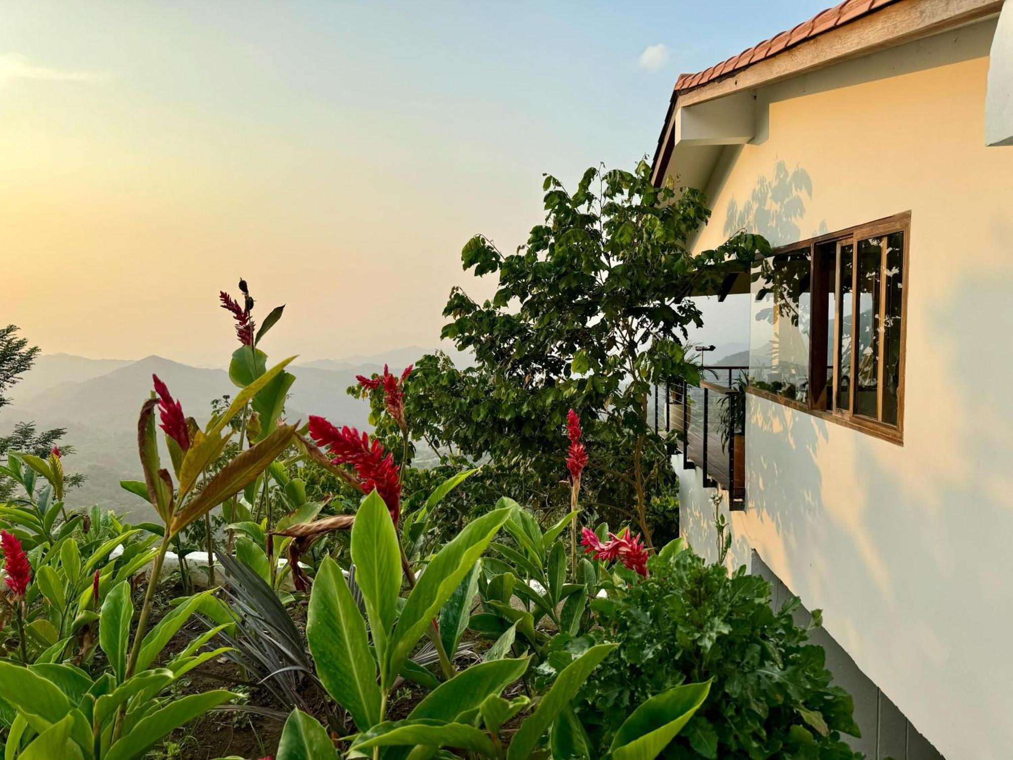 Villa Canopy *