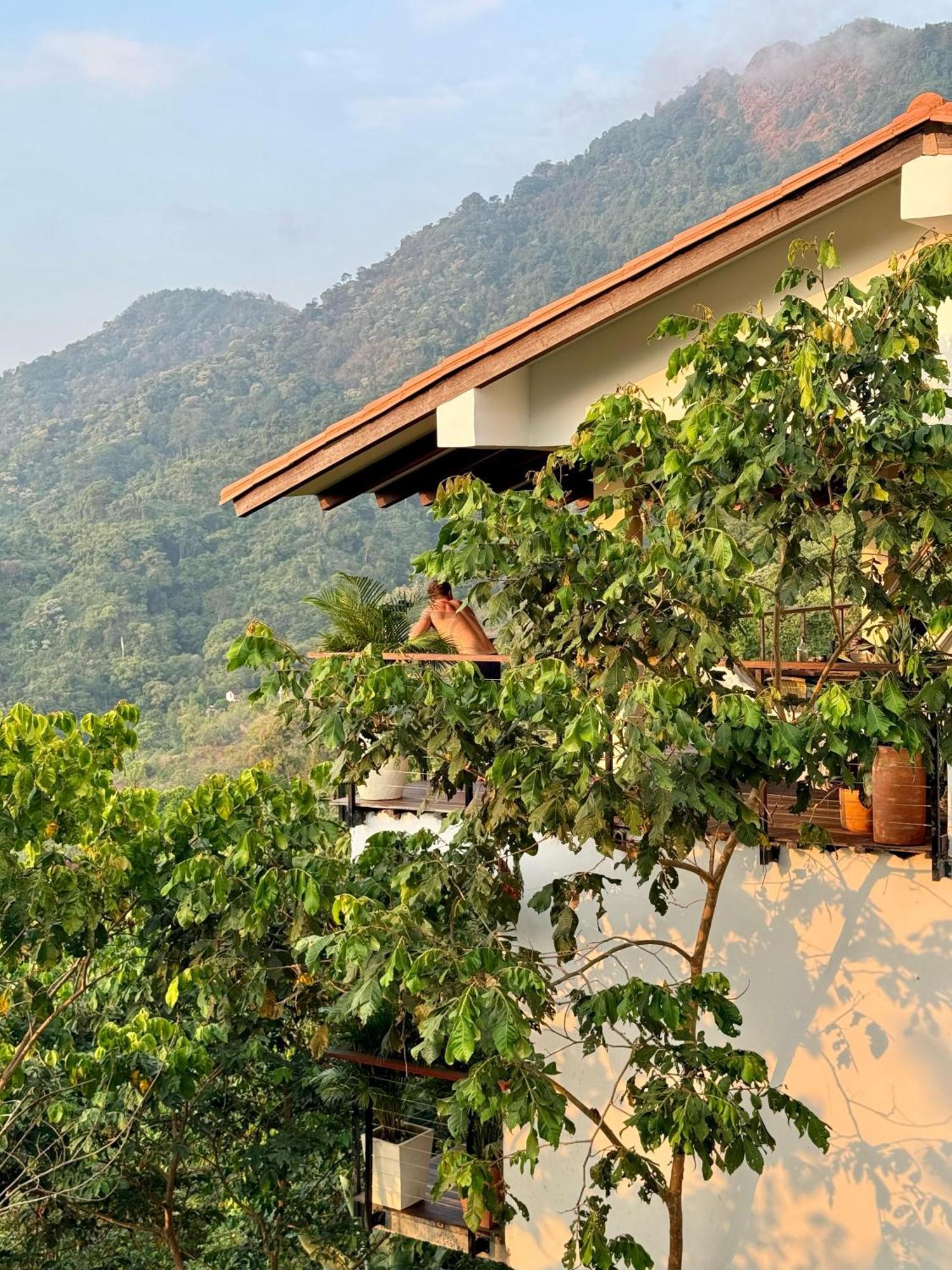 Canopy Minca